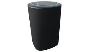 Echo.jpg